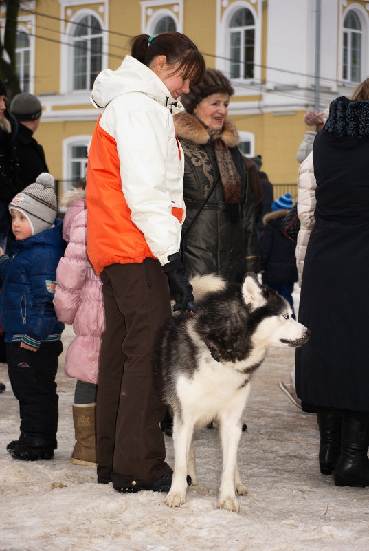 *** - Олег Семенцов