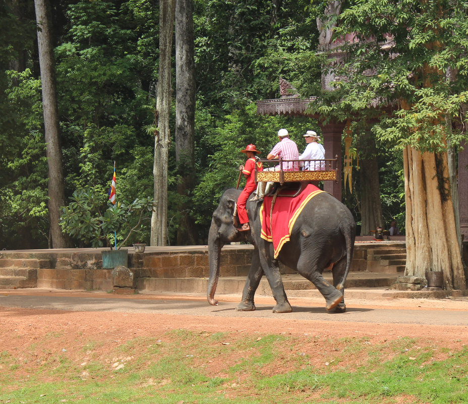 Камбоджа. Приятно прокатиться на слоне - Владимир Шибинский