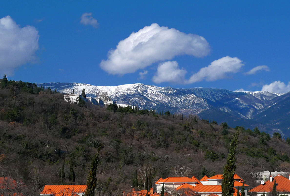 В Крыму весна. - Тарасова Наталья