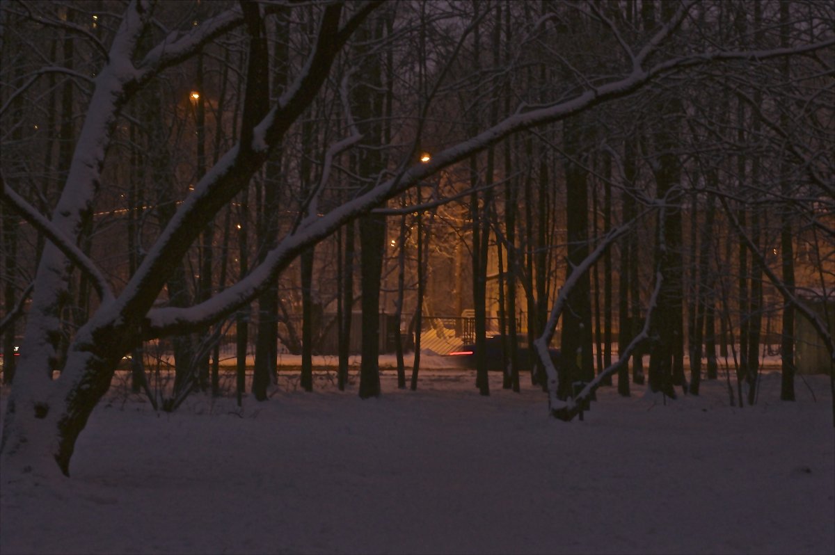 Теплый зимний вечер - Miha Шохин