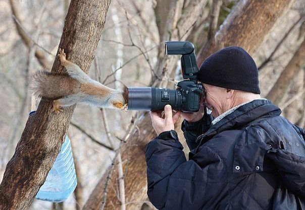 Фотомодель - ansodessa 