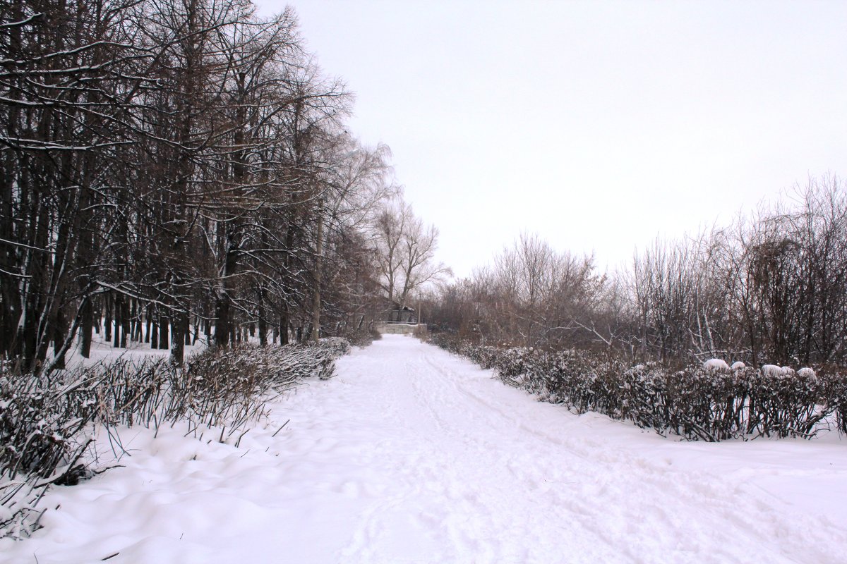 ... - Наталья Абрамова