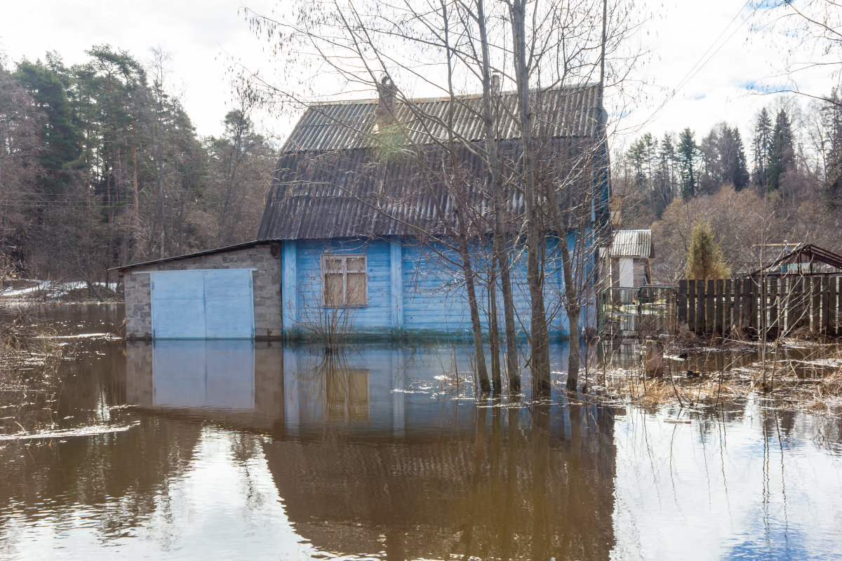 Наводнение в деревне - Sergey 