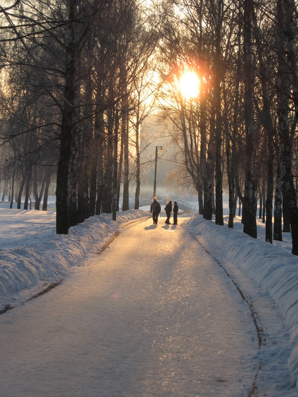 Зима солнце скамейка