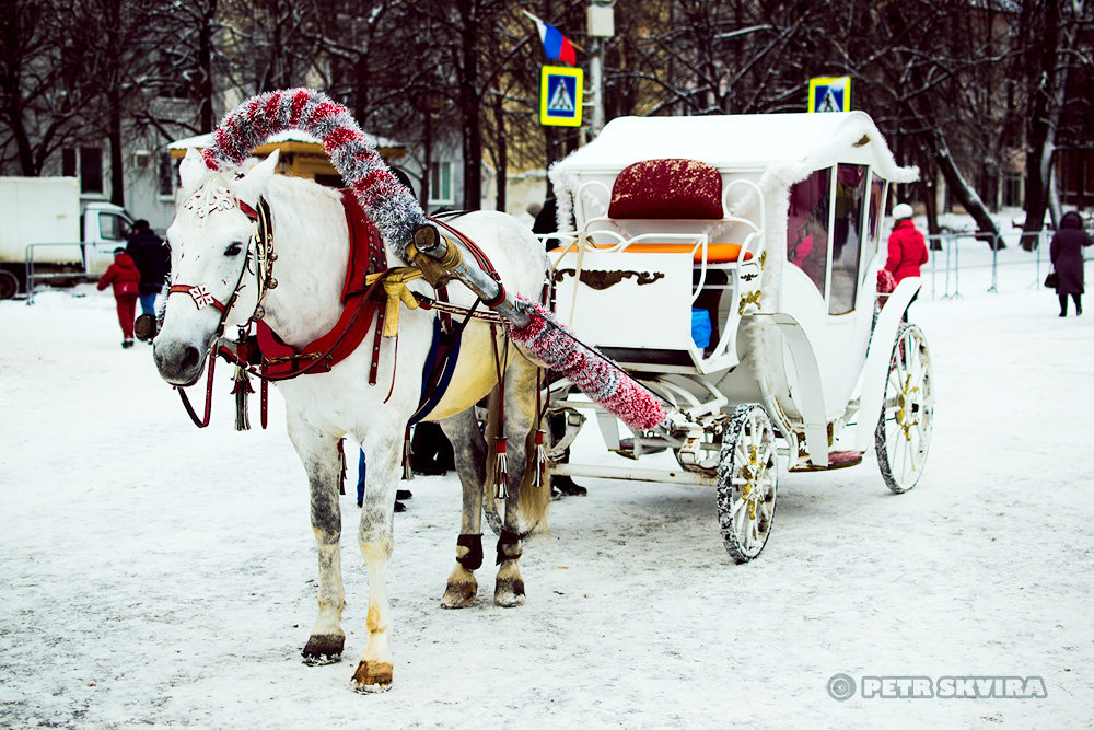 ... - Петр Сквира