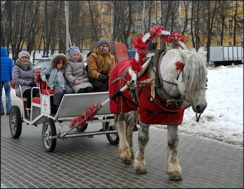 15 - Владимир Петров