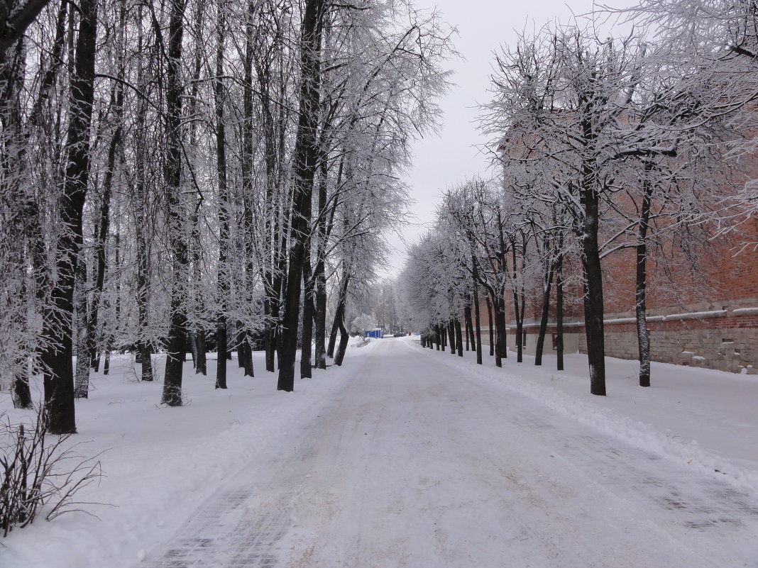 зима в городе - АНТОНИНА 
