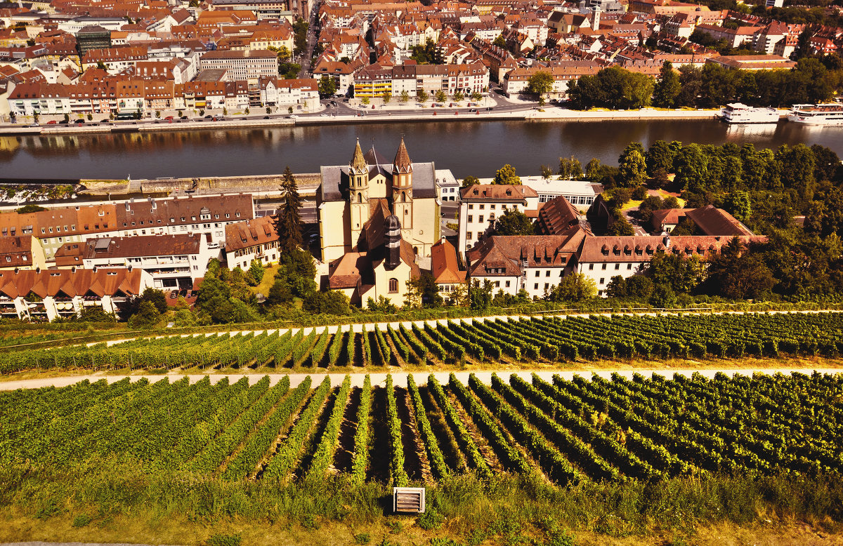 Виноградные склоны Вюрцбурга возле реки Майн (Бавария, Германия).№2 - Валентина Лазаренко