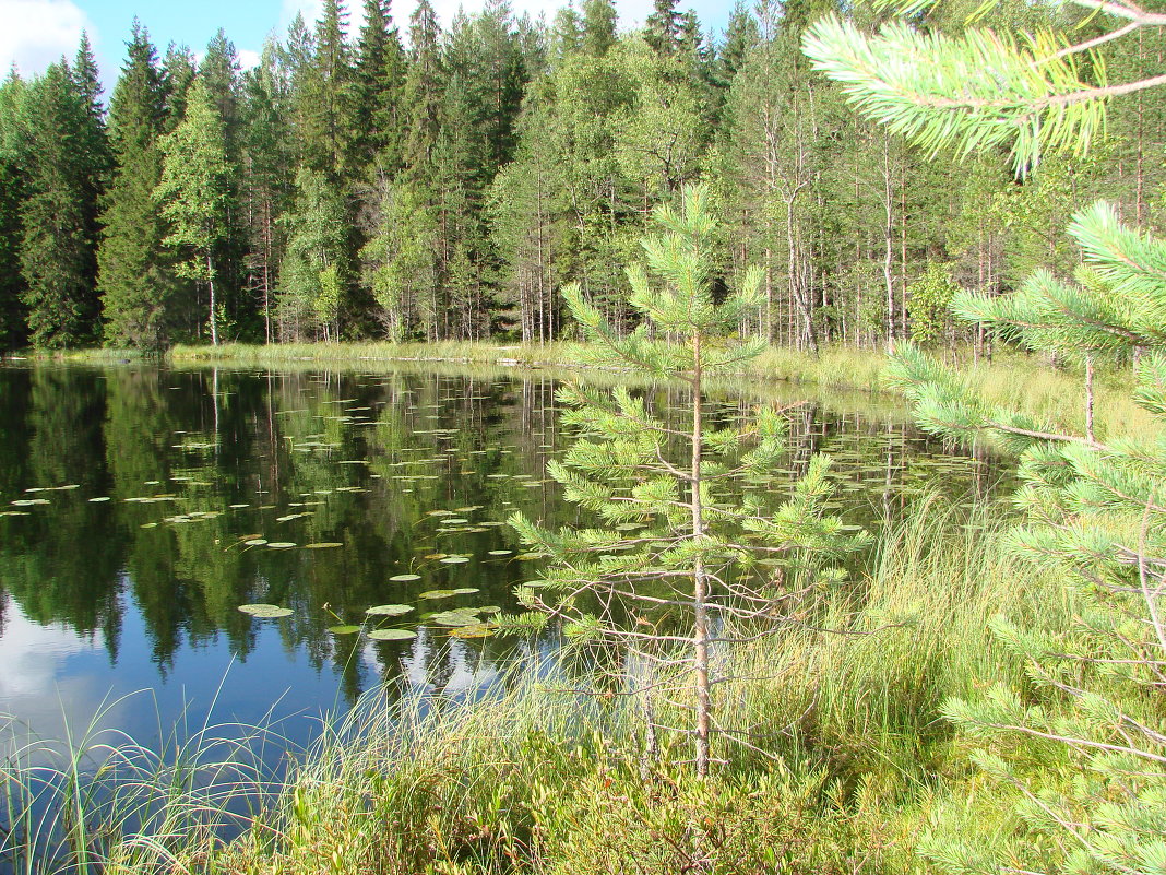 Карельские озера - николай -