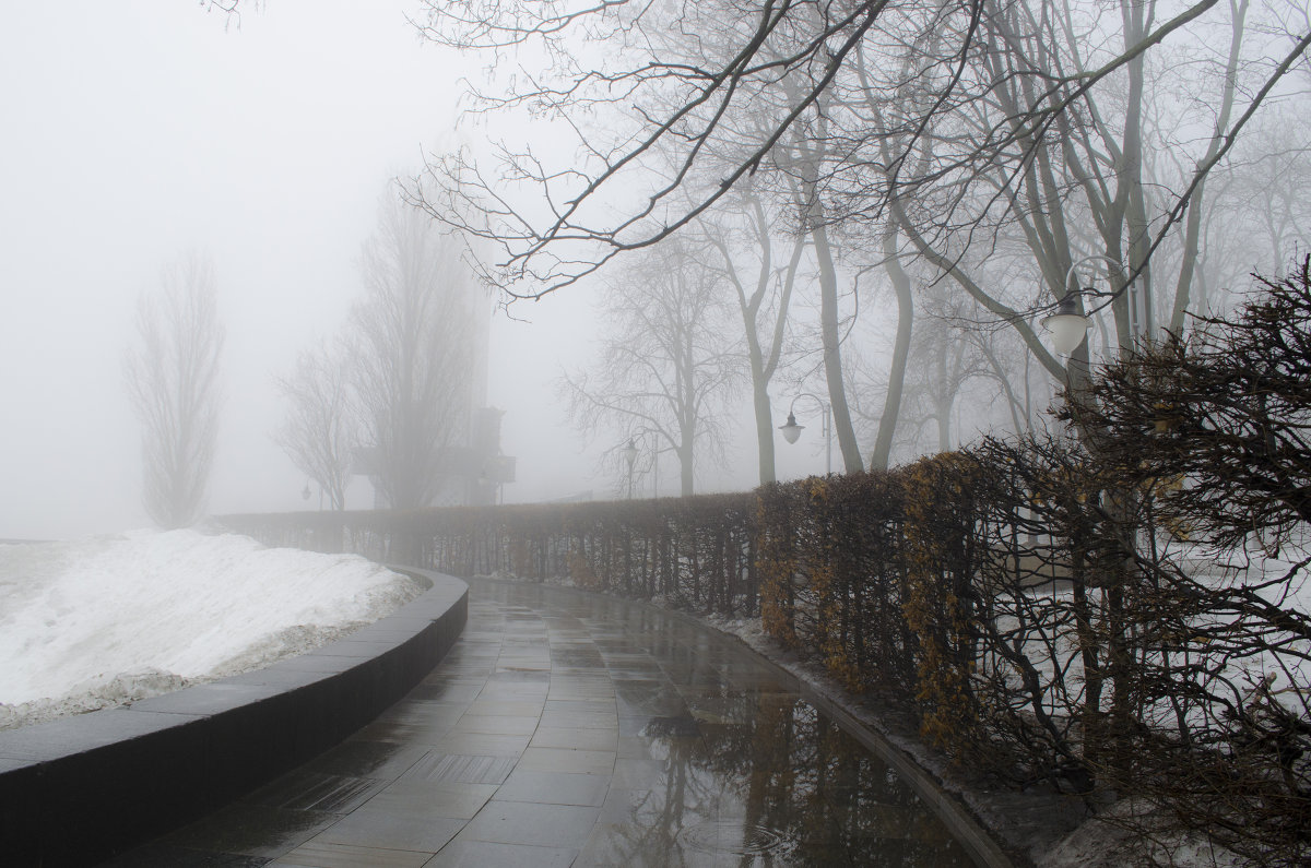 Туманный Киев - Дарина 
