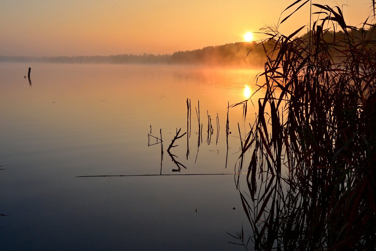 Рассвет на озере.Киев.Троещина - Андрей Зелёный