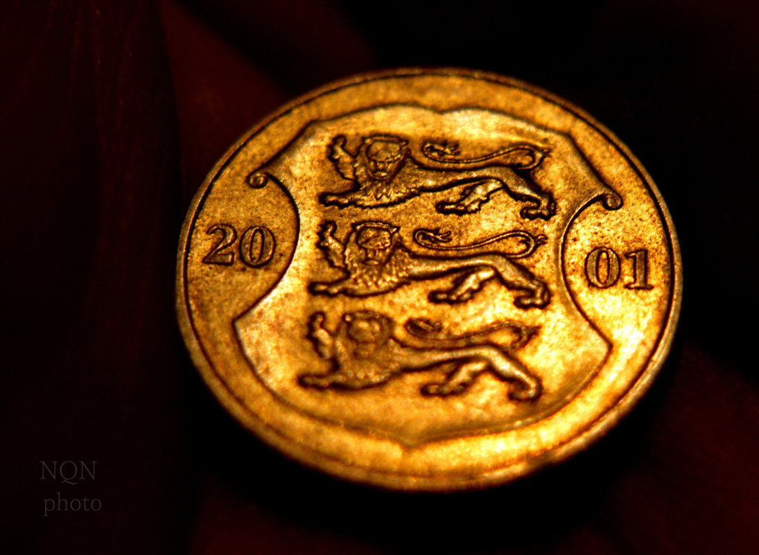 монета 5 - Темновест Болотный