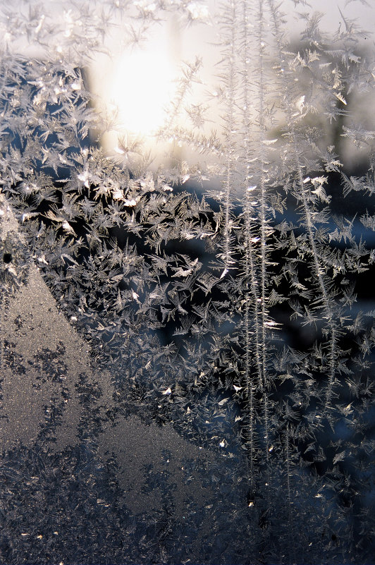 Мороз на окне - Вера Ульянова