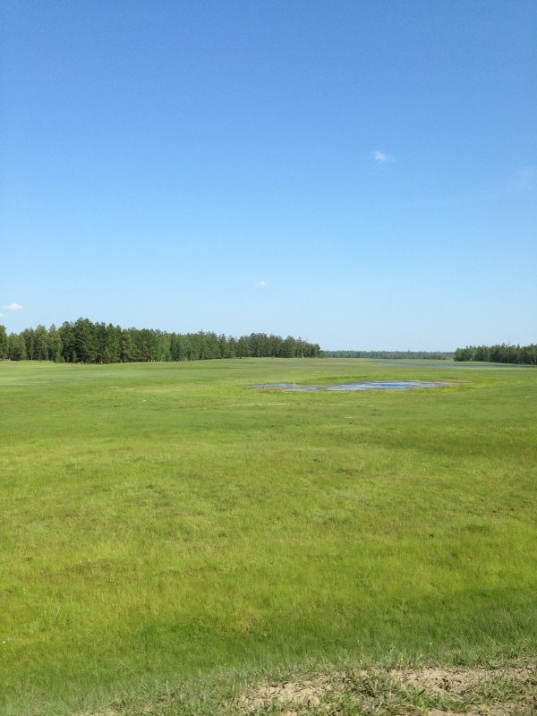 по дороге - Сардаана Гоголева