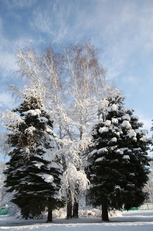 двойняшки - Лев Капник