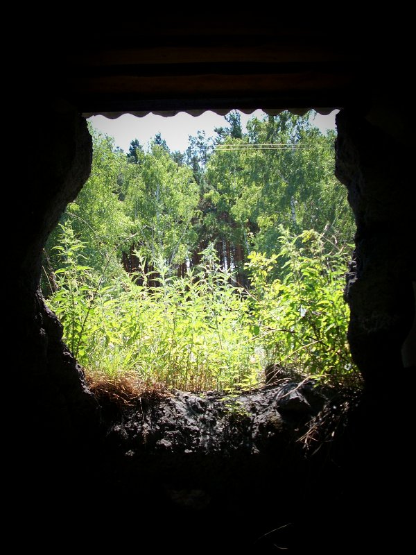 Окно в природу - Нина Дедова 
