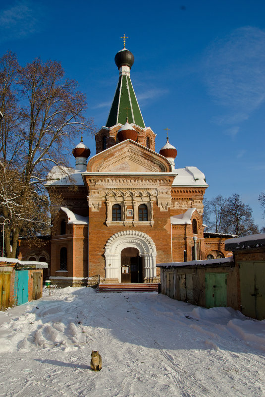 Кот при храме - Светлана Гибазова