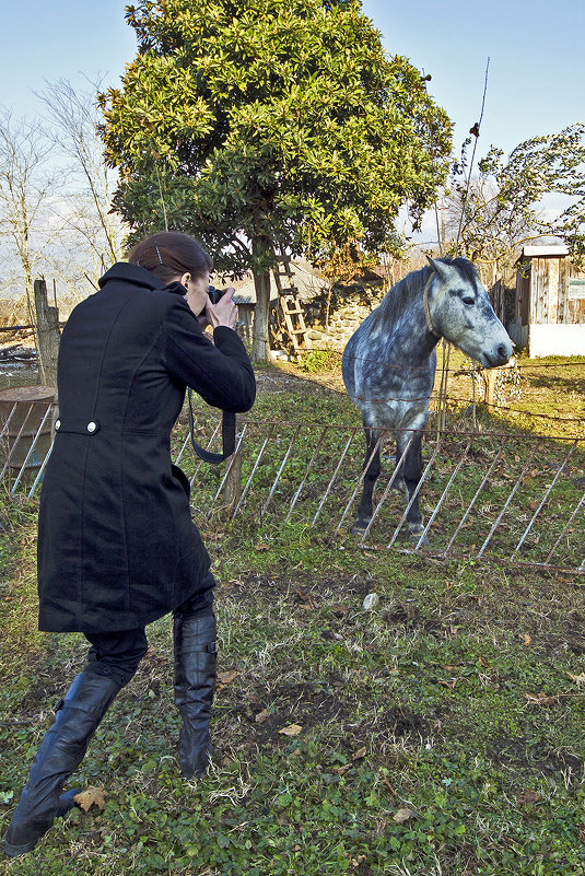 Фотографирование чубарого коня - Андрей Черемисов