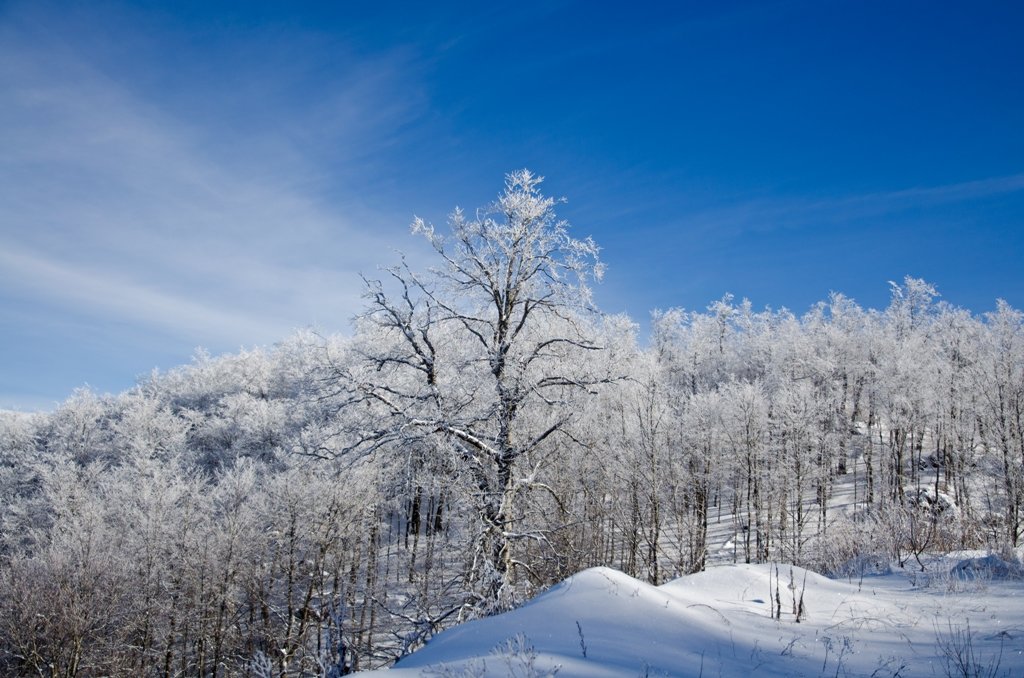 зима Южная Осетия - Vadim 
