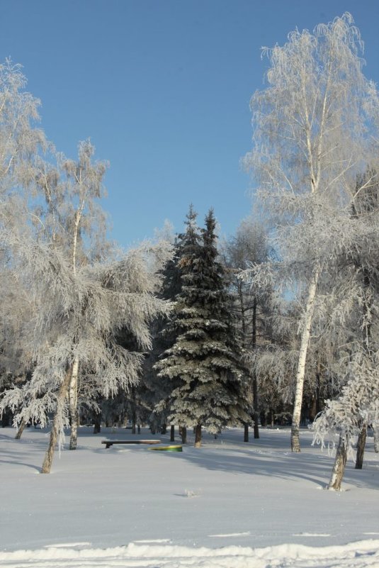 морозно - Оксана Безель