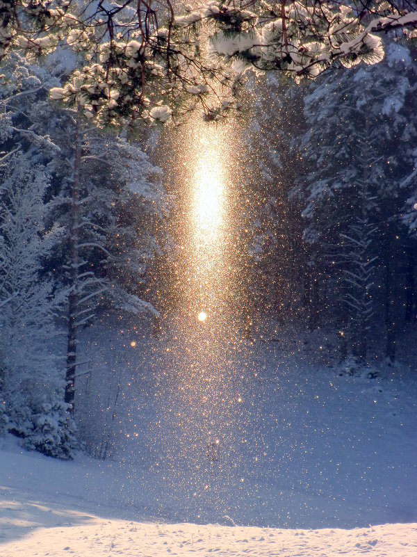 Солнечный снегопад... - Маргарита Дворянникова