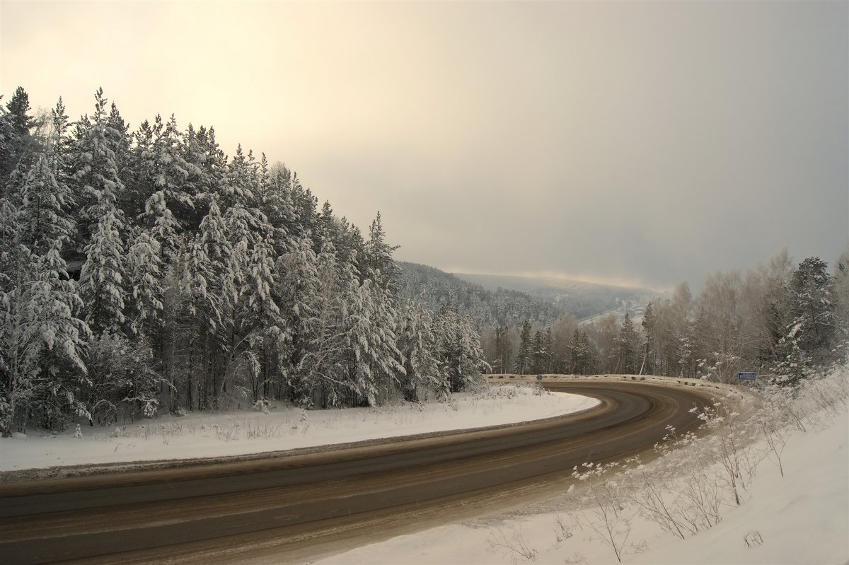 LOUNGE WINTER - Rocker 