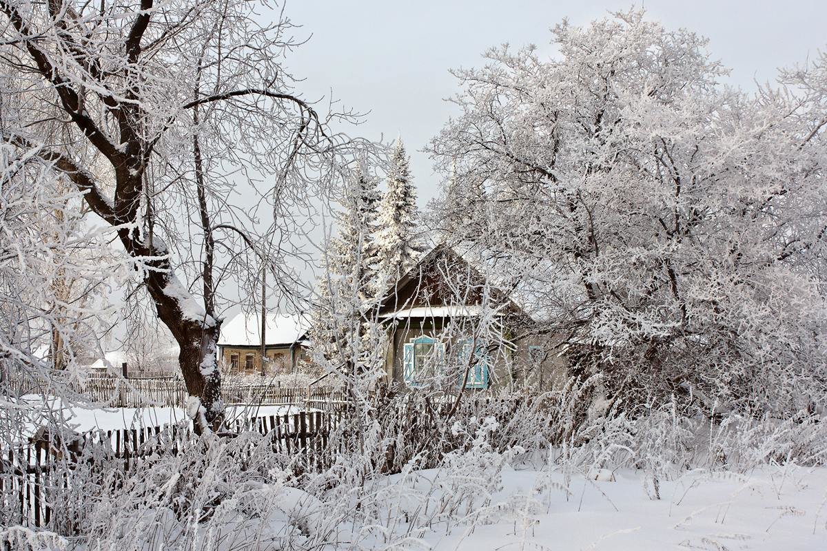 Зима в деревне - Виктор Ковчин