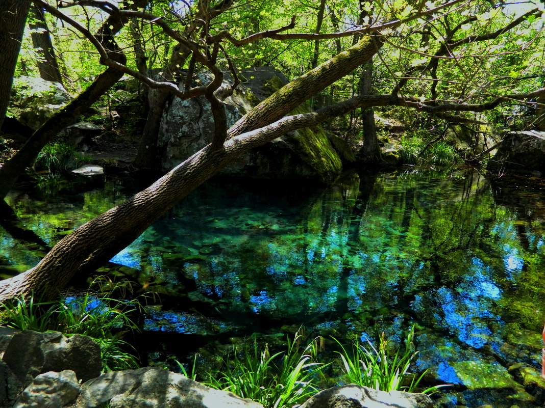озерце с голубым дном - Андрей Козлов