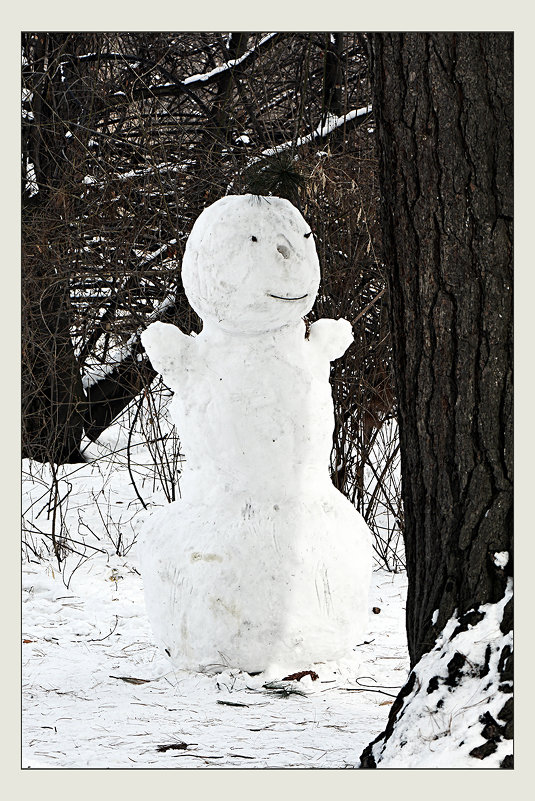 Снеговик живёт в лесу - Alexei Kopeliovich