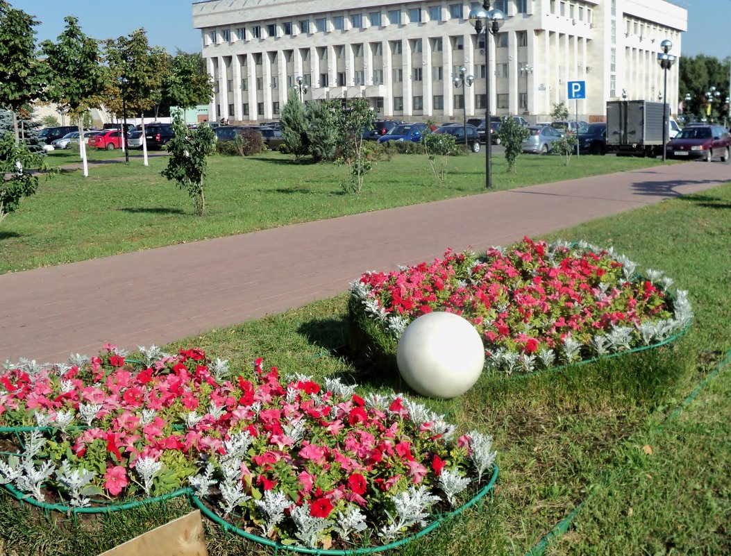 Подмосковье город Люберцы - Ольга Кривых