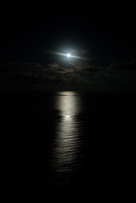 moon-light - Antonina Khan 
