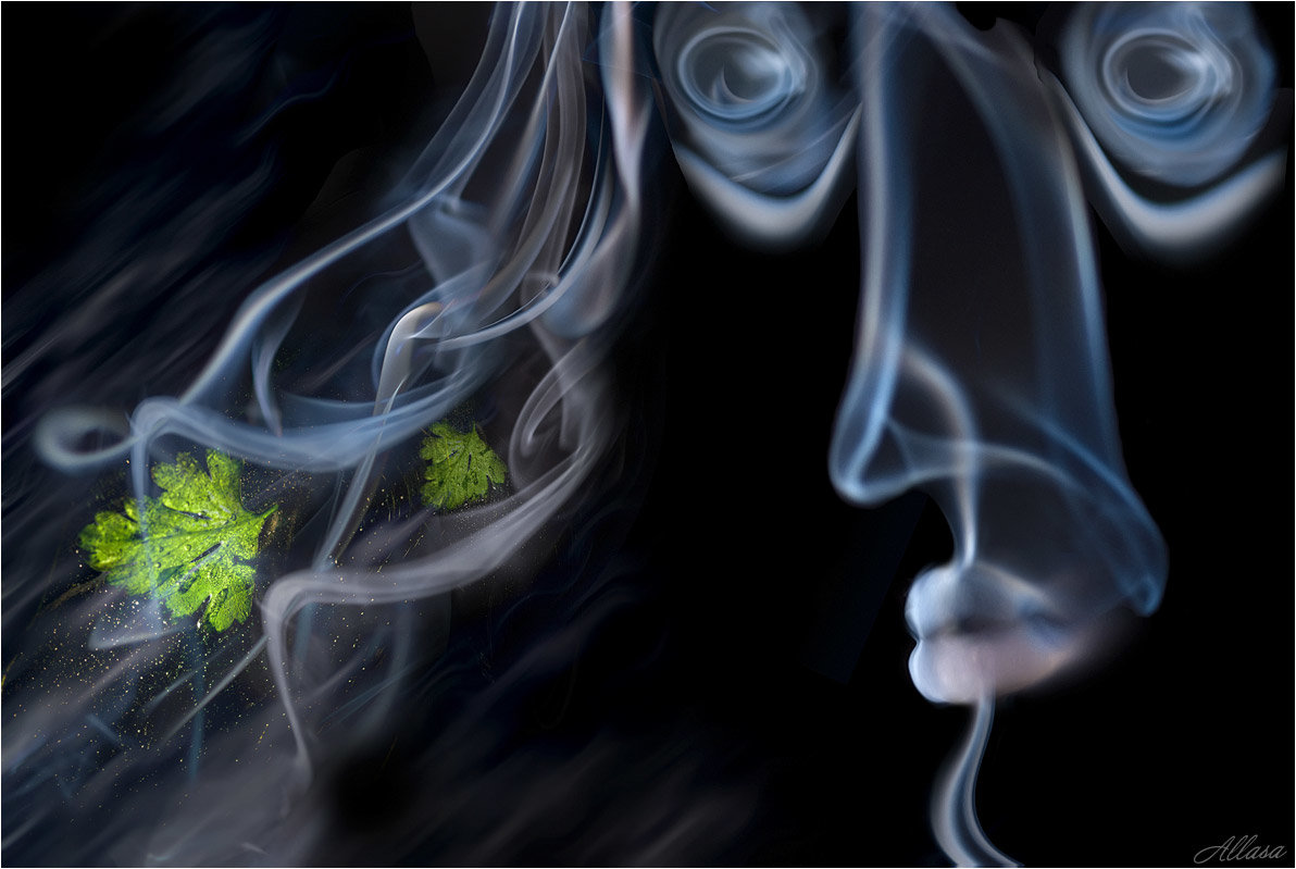 Весенний ветерок (дым) - Алла Allasa