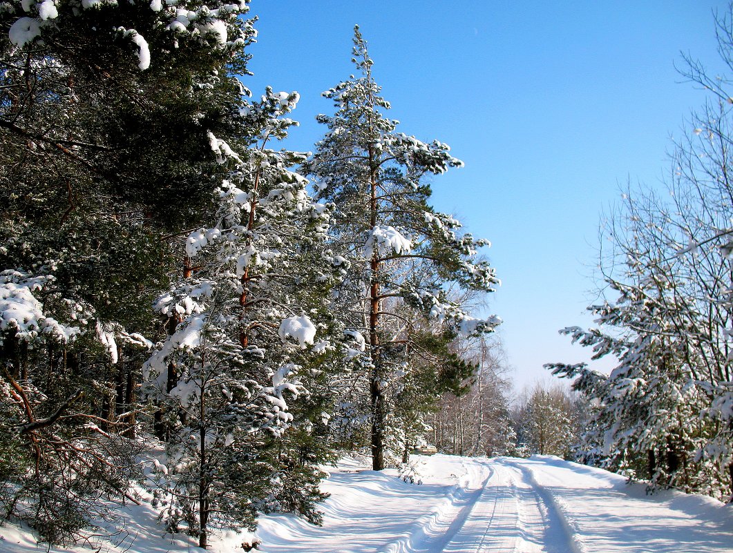 Зима 2009 - Irina 