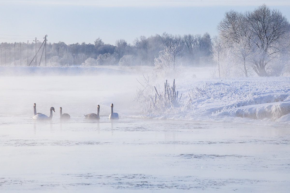 Жизнь на зимней реке - Michail 