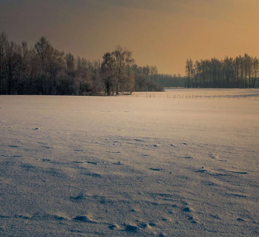 Зимой - Андрей Гусев