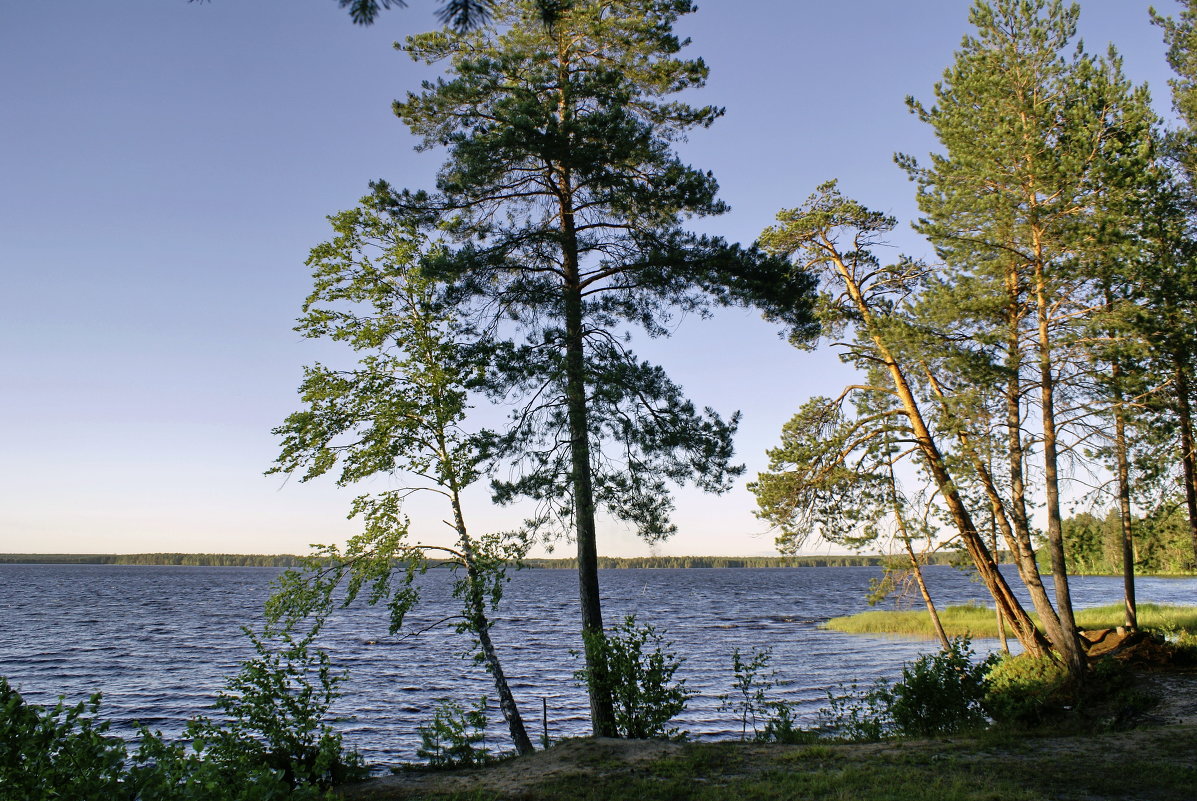озеро Нюхти - Владимир Боров