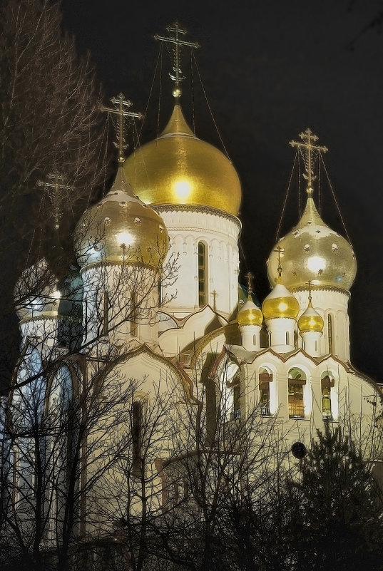 Зачатьевский монастырь - sergej-smv 