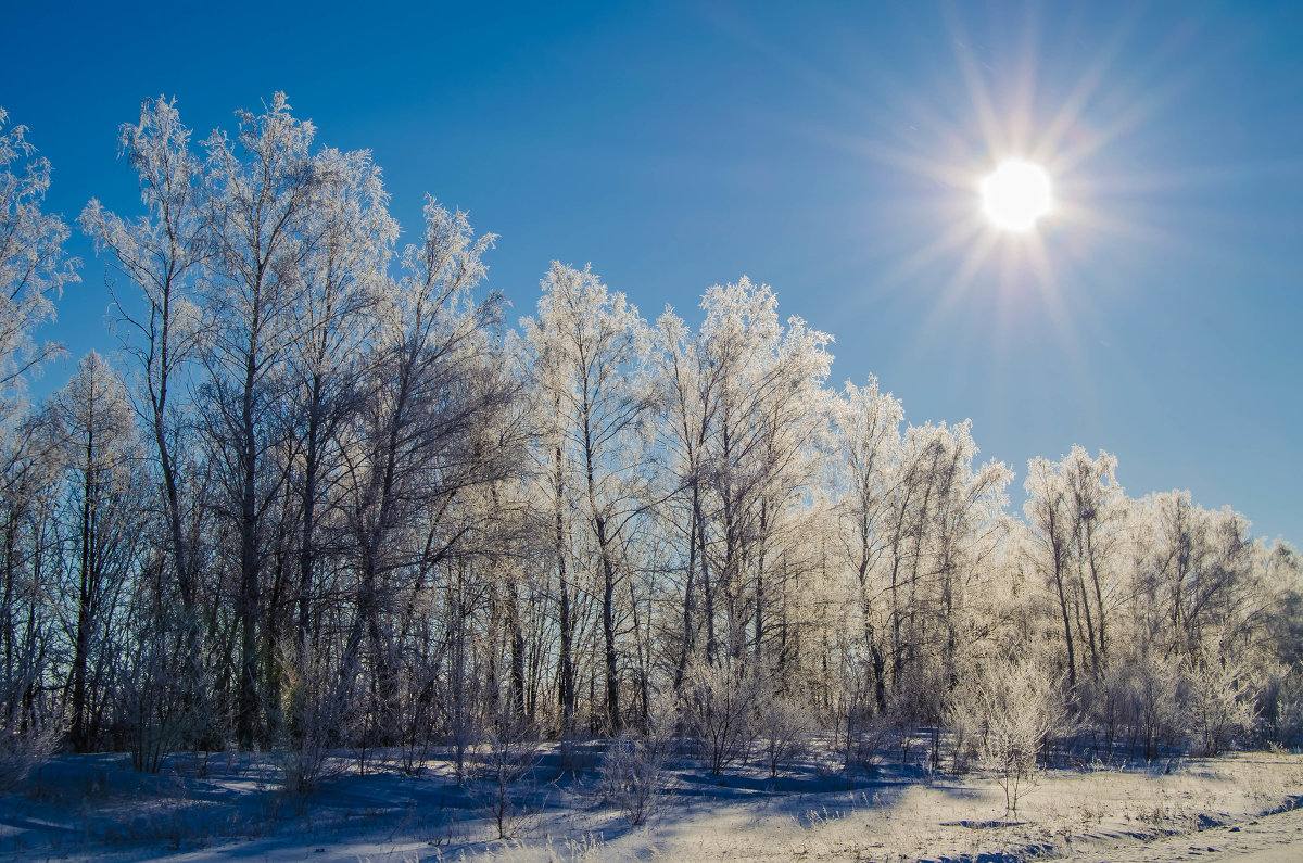 Природа-Мороз и солнце день