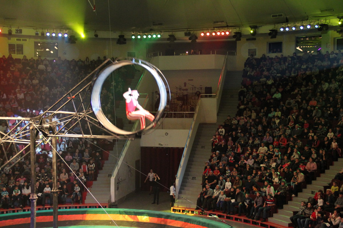 Алматинский цирк - Жасулан N