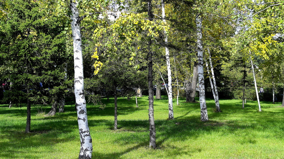 В начале осени - Инна Ивановна Нарута