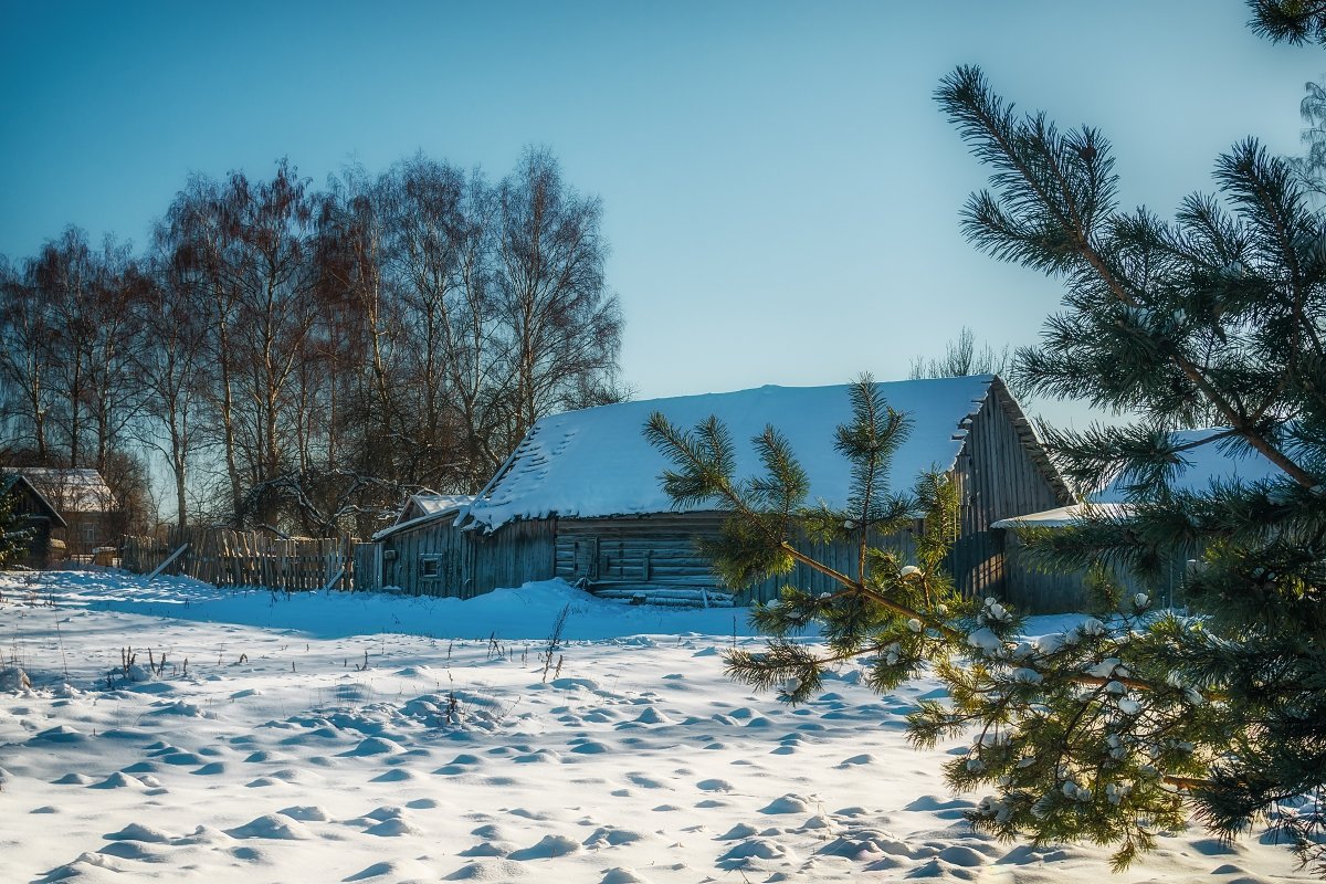 Зима в русской деревне. - Andrei Dolzhenko