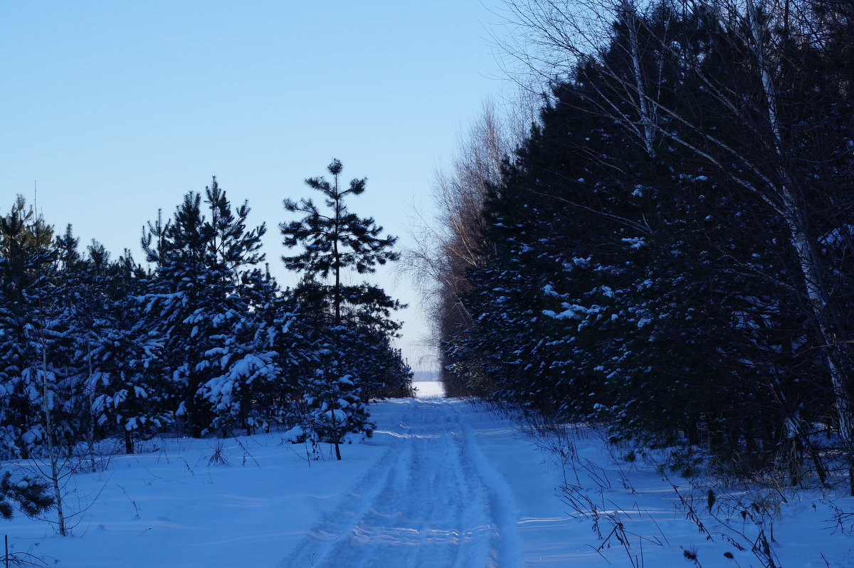 Зимняя дорога - Андрей Воробьев