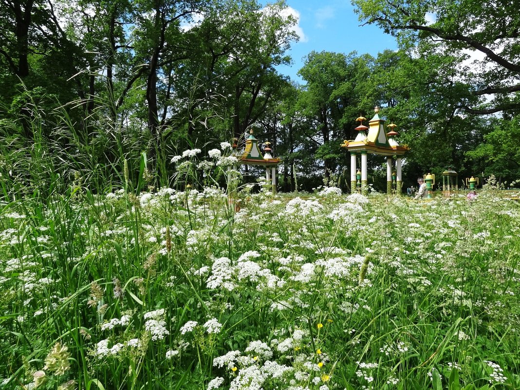 Лето в парке - Наталия Короткова