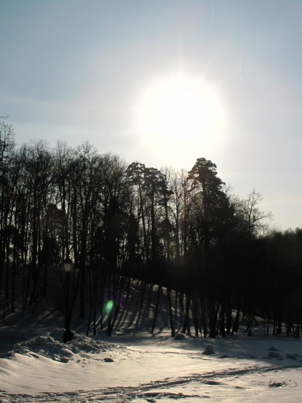 Зимний пейзаж - Елизавета 