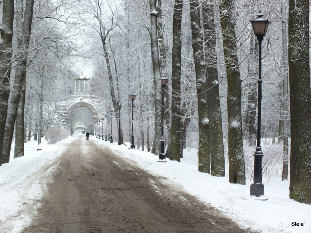 Дорога в парк - Галина (Stela) Кожемяченко