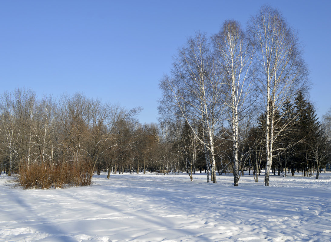 Городской парк - Михаил Петрик