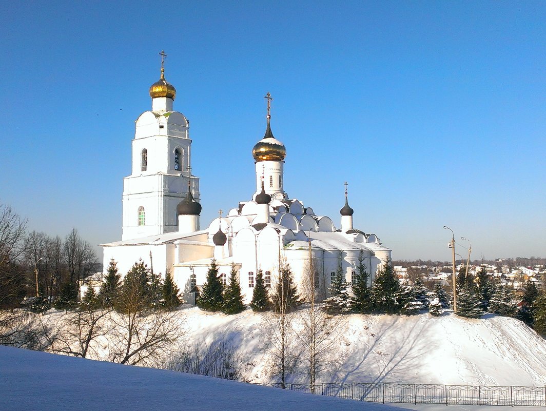 Свято-Троицкий собор в Вязьме. - Николай 