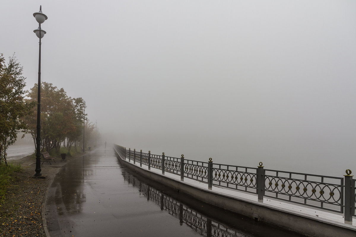 Александр Неустроев - Туман - Фотоконкурс Epson