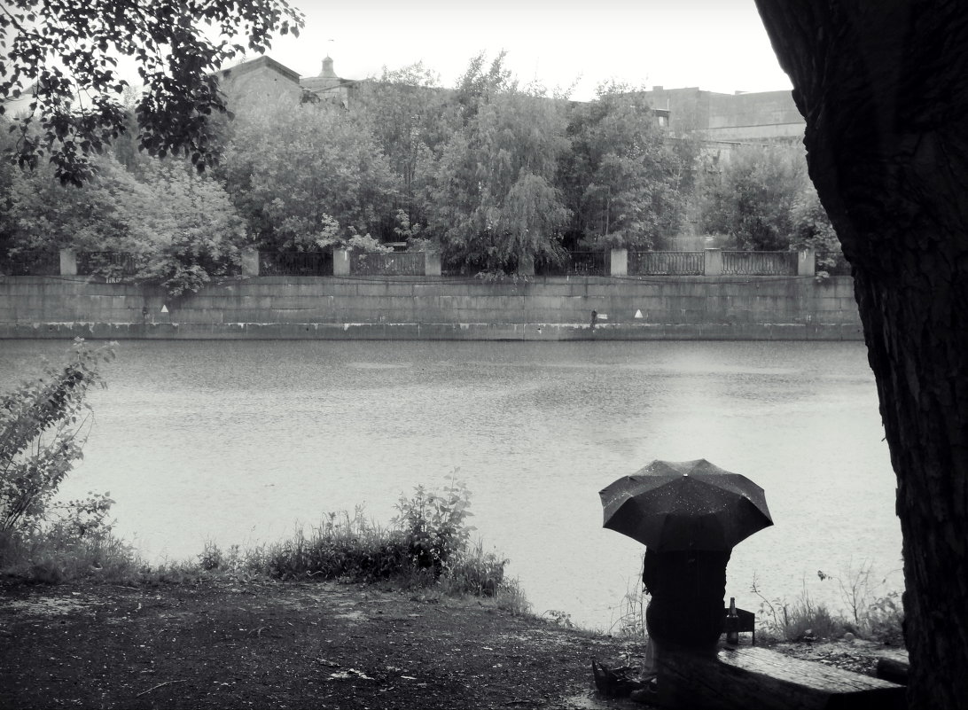 Мокрое лето - sv.kaschuk 