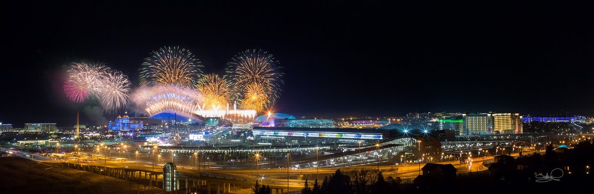 Открытие XXII Олимпийских игр в Сочи - Дмитрий Палюнин